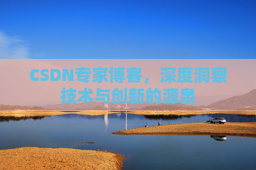 CSDN专家博客，深度洞察技术与创新的源泉